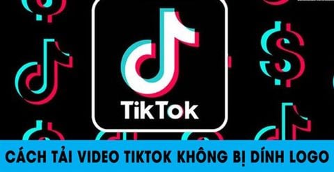 Cách tải video TikTok không có logo, tải nhạc nền tiktok trên điện thoại, máy tính