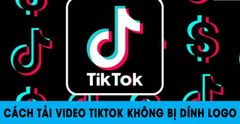  Cách tải video TikTok không có logo, tải nhạc nền tiktok trên điện thoại, máy tính 