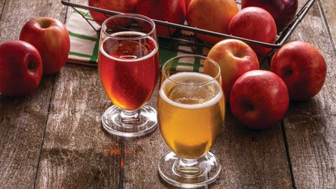 Cider là gì, mua ở đâu? Các loại cider, cách phân biệt cider và bia