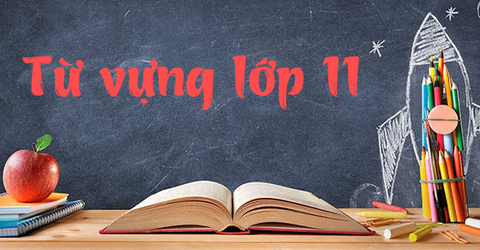 Tổng hợp từ vựng và ngữ pháp tiếng Anh lớp 11 đầy đủ, chi tiết nhất