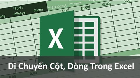 Cách di chuyển cột, dòng trong Excel cực đơn giản, có ví dụ chi tiết