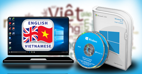 Cài đặt Gói giao diện Tiếng Việt trên Windows 10 Home Single Language