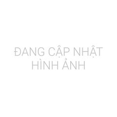  Đồng hồ nam MVW MS060-01 
