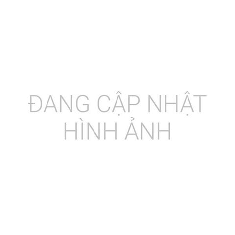 Đồng hồ MVW MS065-01