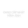 Đồng hồ MVW MS065-01