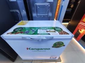 Tủ đông Kangaroo 140 lít KG 265NC1