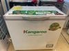 Tủ đông Kangaroo 140 lít KG 265NC1