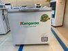 Tủ đông Kangaroo 140 lít KG 265NC1