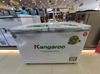 Tủ đông Kangaroo 192 lít KG 266NC2