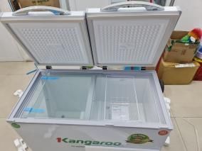 Tủ đông Kangaroo 192 lít KG 266NC2