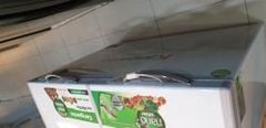  Tủ đông Kangaroo 252 lít KG 400NC2 