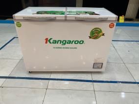 Tủ đông Kangaroo 252 lít KG 400NC2