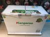 Tủ đông Kangaroo 252 lít KG 400NC2