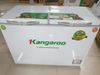 Tủ đông Kangaroo 252 lít KG 400NC2