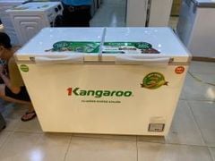  Tủ đông Kangaroo 252 lít KG 400NC2 
