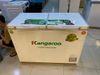 Tủ đông Kangaroo 252 lít KG 400NC2