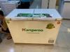 Tủ đông Kangaroo 252 lít KG 400NC2