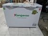 Tủ đông Kangaroo 252 lít KG 400NC2