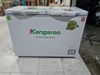 Tủ đông Kangaroo 252 lít KG 400NC2