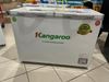 Tủ đông Kangaroo 252 lít KG 400NC2