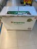 Tủ đông Kangaroo 252 lít KG 400NC2