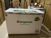 Tủ đông Kangaroo 252 lít KG 400NC2