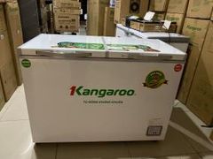  Tủ đông Kangaroo 252 lít KG 400NC2 