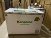 Tủ đông Kangaroo 252 lít KG 400NC2