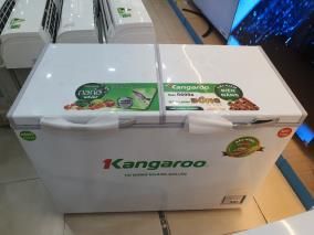 Tủ đông Kangaroo 252 lít KG 400NC2