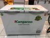 Tủ đông Kangaroo 252 lít KG 400NC2