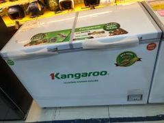  Tủ đông Kangaroo 252 lít KG 400NC2 