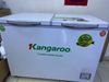 Tủ đông Kangaroo 252 lít KG 400NC2
