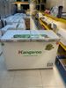 Tủ đông Kangaroo 252 lít KG 400NC2