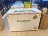 Tủ đông Kangaroo 252 lít KG 400NC2
