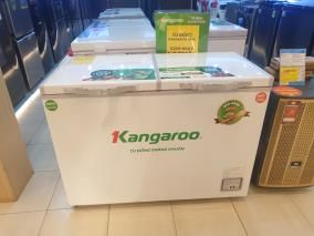 Tủ đông Kangaroo 252 lít KG 400NC2