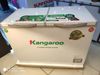 Tủ đông Kangaroo 252 lít KG 400NC2