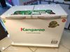 Tủ đông Kangaroo 252 lít KG 400NC2