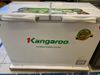 Tủ đông Kangaroo 252 lít KG 400NC2