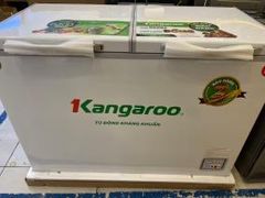  Tủ đông Kangaroo 252 lít KG 400NC2 