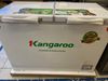 Tủ đông Kangaroo 252 lít KG 400NC2