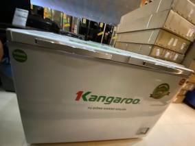 Tủ đông Kangaroo 252 lít KG 400NC2