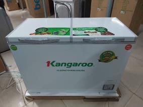 Tủ đông Kangaroo 252 lít KG 400NC2