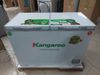 Tủ đông Kangaroo 252 lít KG 400NC2