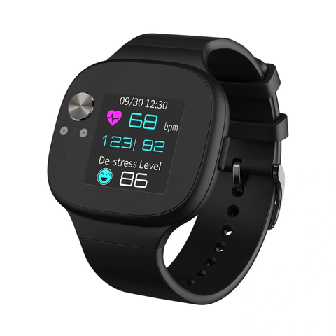 Đồng Hồ Thông Minh Asus Vivowatch Bp Hc-a04