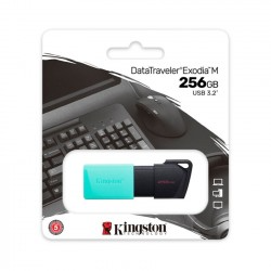 Usb Kingston 256gb Datatraveler Exodia M Dtxm/256gb