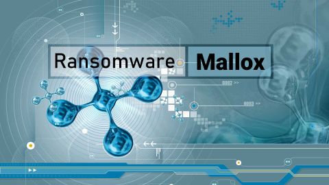 Phục hồi dữ liệu bị virus mã hóa, hacker tống tiền Maalox