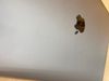 Apple MacBook Air i3 1.1GHz dual-core 10th/8GB/256GB/13.3