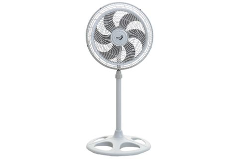 Quạt đứng Asia DTB1601-XV0 Xám