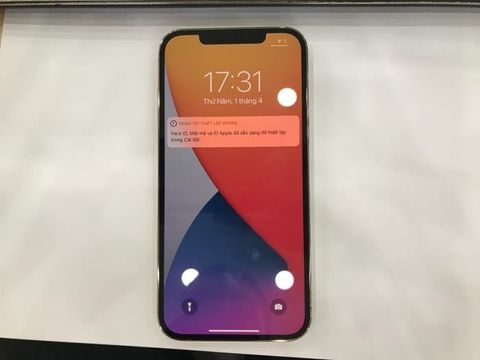 Điện thoại iPhone 12 Pro Max 256GB Gold (mã sp: #33578082)