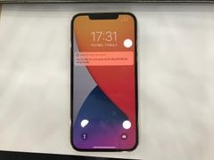  Điện thoại iPhone 12 Pro Max 256GB Gold (mã sp: #33578082) 
